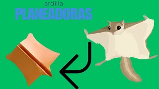 como hacer un avión de papel, Ardilla planeadora 🐿️🐿️