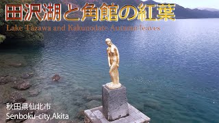 秋田の旅🍁 ドローン空撮あり　田沢湖・御座石神社・角館の紅葉（Lake Tazawa and Kakunodate Autume leaves）