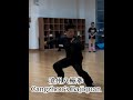 沧州八极拳 郭择儒老师表演 cangzhou bajiquan performance by master guozeru