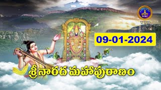 శ్రీనారద మహాపురాణం || Masavaisistyam Sri Narada Mahapuranam || 09-01-2024 || SVBC TTD