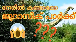 കാനഡയിലെ കാഴ്ചകൾ|Jurassic Forest, Gibbons, Alberta| The Dinosaurs Are Back???