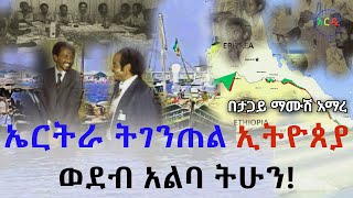 ኤርትራ ትገንጠል ኢትዮጰያ ወደብ አልባ ትሁን!  የተጋረደው ጀግንነት  በሚል ርእስ የፃፉት መፅሀፍ ምርቃት ላይ የተናገሩት ሚስጥር