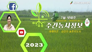 [ 주간농사정보 ] 7월 4째주 (2023. 07. 24. ~ 07. 28.)