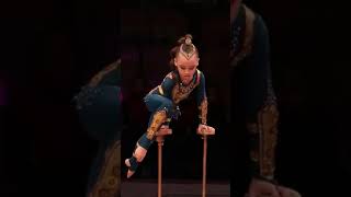 Circus Show || Acrobatics Video || Gymnastics Video