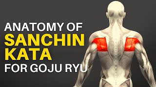 The Anatomy of Sanchin Kata for Goju Ryu
