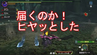 mhxx　実況　攻略９４３ 集会所　HR１１　Ｇ３　古代林で目撃された迅竜の報告