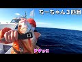 【アカムツ釣り】2021年高級魚アカムツ釣行記２days 丸天丸・幸丸【のどぐろ】【アカムツ釣り方】