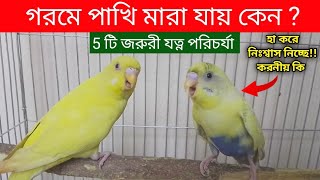 গরমে পাখি মারা যাচ্ছে করনীয় কি | গরমে পাখির যত্ন ও পরিচর্যা বাজরিগার লাভবার্ড ককাটেল পালন Grow Life