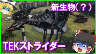 【ARK】激ムズ音ゲー！？新生物（？）TEKストライダーをテイム【ゆっくり実況】【ジェネシス2】