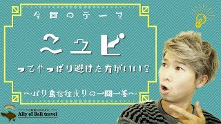 やっぱりニュピって避けた方がいい？~バリ島在住ホリの一問一答~