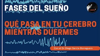 Las fases del sueño: qué pasa en tu cerebro mientras duermes