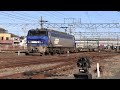 jr貨物 1097レ ef200 19号機牽引 西浜松駅発車 2013 01 27