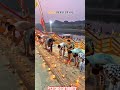 Dev Deepavali belha devi mandir pratapgarh #devdeepawalivaranasi #hindugoddess #varanasidevdiwali