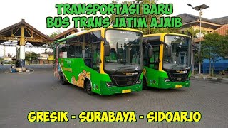 Transportasi Baru Yang Murah Meriah | Bus Trans Jatim Ajaib, Gresik - Sidoarjo PP