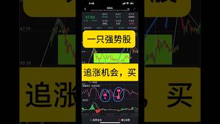 强势信号📶，追涨机会买！更多会员详细点位微信：xm07797，discord:jkn9655#美股分析 #美股 #stocks #芯片 #AI