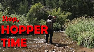 Hopper Fly Fishing on a Favorite Stream