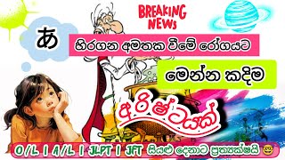 හිරගණ අමතක වීමේ රෝගයට කදිම අරිෂ්ඨයක් 🤯|Hiragana Alphabet|funny flash card |Hiragana chart|CHITHEKI