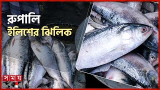 মুন্সীগঞ্জে ইলিশের বেচাকেনা তুঙ্গে, কেজি প্রতি ২১০০ টাকা | Ilish Price | Mirkadim Hat | Munshiganj