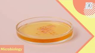 Happy Laboratory Week