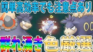 【爆速群れ湧き】バクーダ＆ドンメルの色違いを超簡単に入手する方法を紹介！群れ湧きで簡単＆高効率ですが注意点アリ【ポケモンSV】