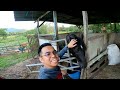 Jom Kenali Kuda Keturunan Arab | Vlog Santai Merungkai Perkara Baru