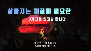 살빠지는 체질 다이어트 지방연소 신진대사 식욕억제 렙틴 폴리페놀 메타볼리즘 증가 인코딩