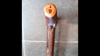 O'Connors Irish Blackthorn Walking Stick 36\