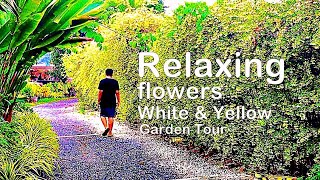 Relaxing garden tour - Flowers blooming (Bangkok suburbs)