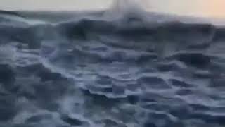 Sea monster caught on camera  😱