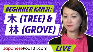 Beginner Kanji: How to Use 木(tree) & 林(grove) in Japanese