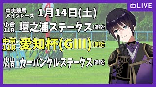 【ゆるく複勝予想】1月14日 土曜日編【中央競馬メイン】