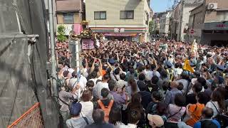 2023 浅草神社　三社祭　堤町会　本社渡御　  神輿⑧