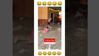 Funny videos compilation 🤣🤣🤣🤣 pt.101 🤣🤣🤣🤣 #shorts #viral #funny #comedy #trending
