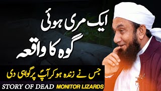 Story of Dead Monitor lizards || Goh Ka Waqia || Molana Tariq Jameel Latest Bayan 12 June 2023