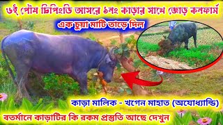 ৬ই পৌষ চিপিংডি আসরে ১নং কাড়ার সাথে জোড় কনফার্ম // এক চুয়া মাটি তাড়ে দিল // কাড়া মালিক - খগেন মাহাত