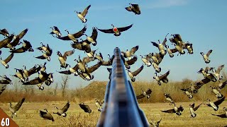 TONS of GEESE Dumped Into a TINY Spread! | SOLO Goose Hunt On Ice