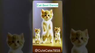 😻💃Cat videos funny dance😻💃#shorts#ytshortsvideo#lovelycats