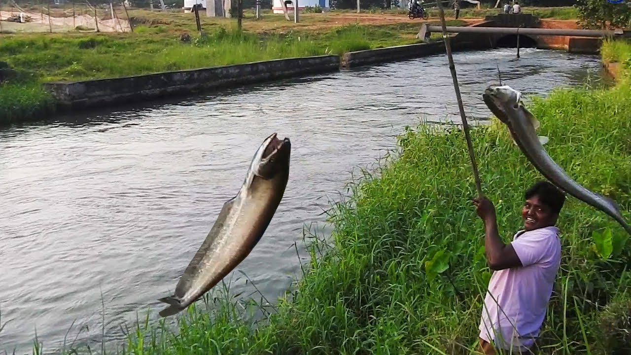 Fish Hunting - Bass Fishing - YouTube