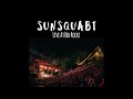 sunsquabi live at red rocks cinnamon