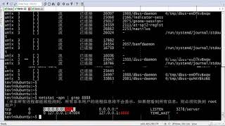 day3 08 netstat命令