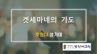 20230402 보라매교회 호산나성가대