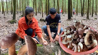 Find Wild Mushrooms In The Forest / Natural Mushrooms Cooking / Prepare By Countryside Life TV