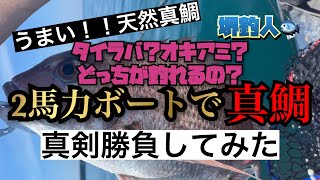 鯛釣り　タイラバ？オキアミ？　どっちが釣れるか勝負してみた