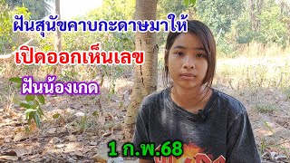 ฝันสุนัขคาบกะดาษมาให้ เปิดออกเห็นเลข 1 ก.พ.68 น้องเกด