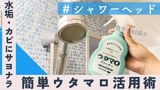 シャワーヘッド、意外と汚れてる！？簡単ウタマロお手入れ術✨