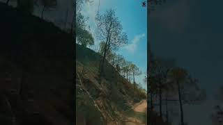 📍 Kasauli - Nature Video Status - ਸਫਰਾਂ ਤੇ ਆਂ, ਸੈਰਾਂ ਤੇ ਨਈ - Nature Whatsapp Status