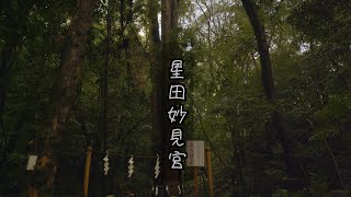 星田妙見宮（小松神社）: Hoshidanyoukenngu(Komathujinja)