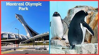 Montreal Olympic Park | Olympic Stadium  | Montreal Olympic Tower JourneyHooked || Ep 5.