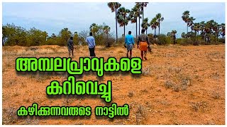 Tamilnadu Village Trip | Exploring Rural Villages | Traditional Food | Village Life | Thirunelveli