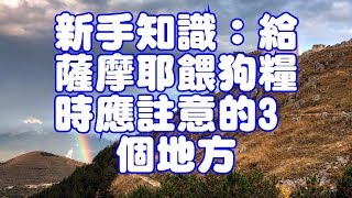 新手知識：給薩摩耶餵狗糧時應註意的3個地方